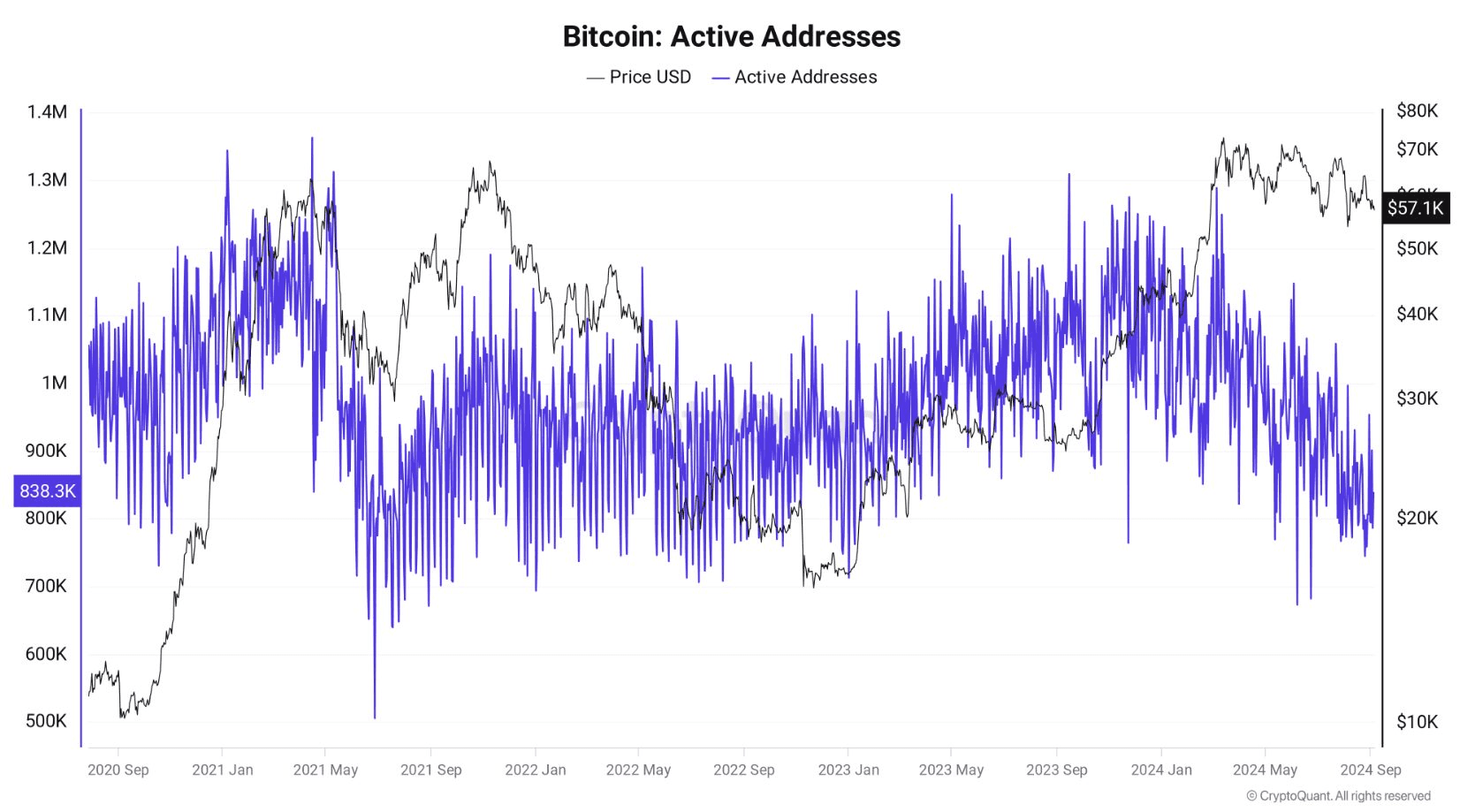 coincodekr/33999/5968639824627873128