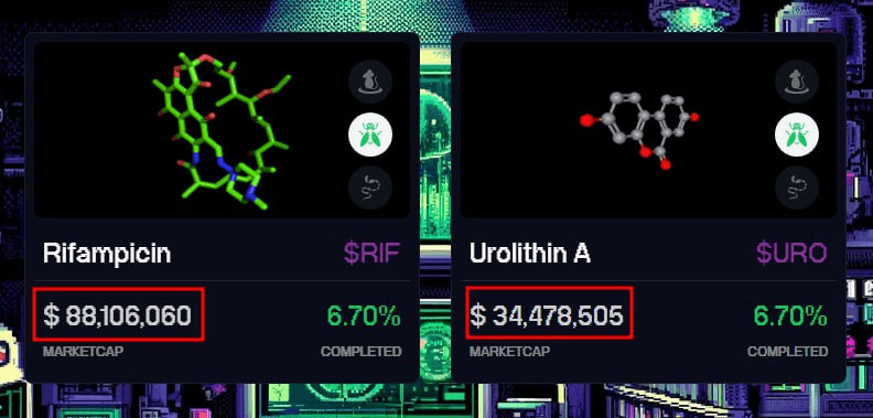 yobeullyANN/13348/6183474479615820762