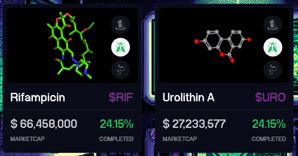 yobeullyANN/13522/6212766985503228137